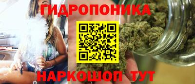 стаф Кимры