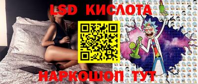 стаф Кимры