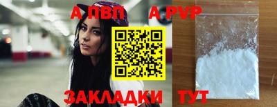 стаф Кимры