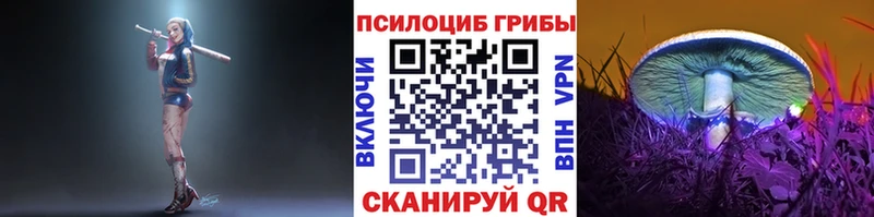 мега зеркало Коммунар Псилоцибиновые грибы MAGIC MUSHROOMS