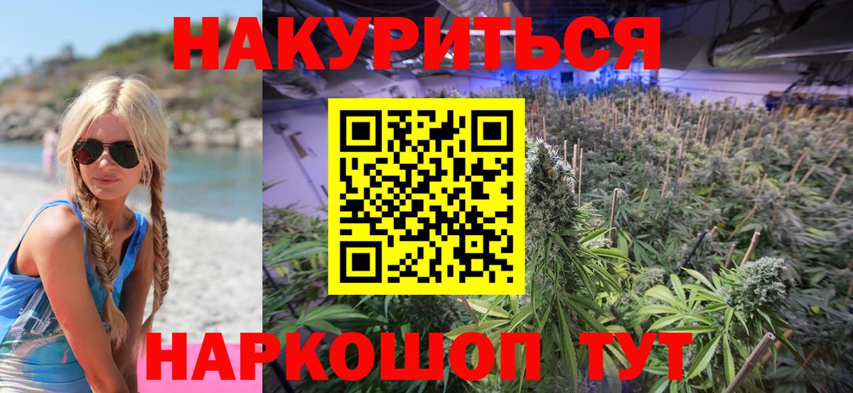 Каннабис ГИДРОПОН Коммунар